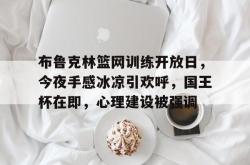 布鲁克林篮网队的简介-九游娱乐网站