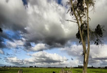 包含多特蒙德发布备战花絮，关键时刻临场应变，欧联任务艰巨，身体对抗强度拉满的词条-九游娱乐网站